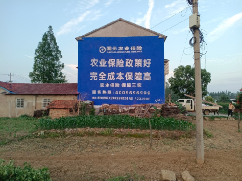 古田墙体广告为何受追捧?